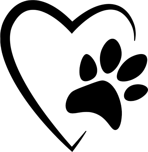Logo fundacji